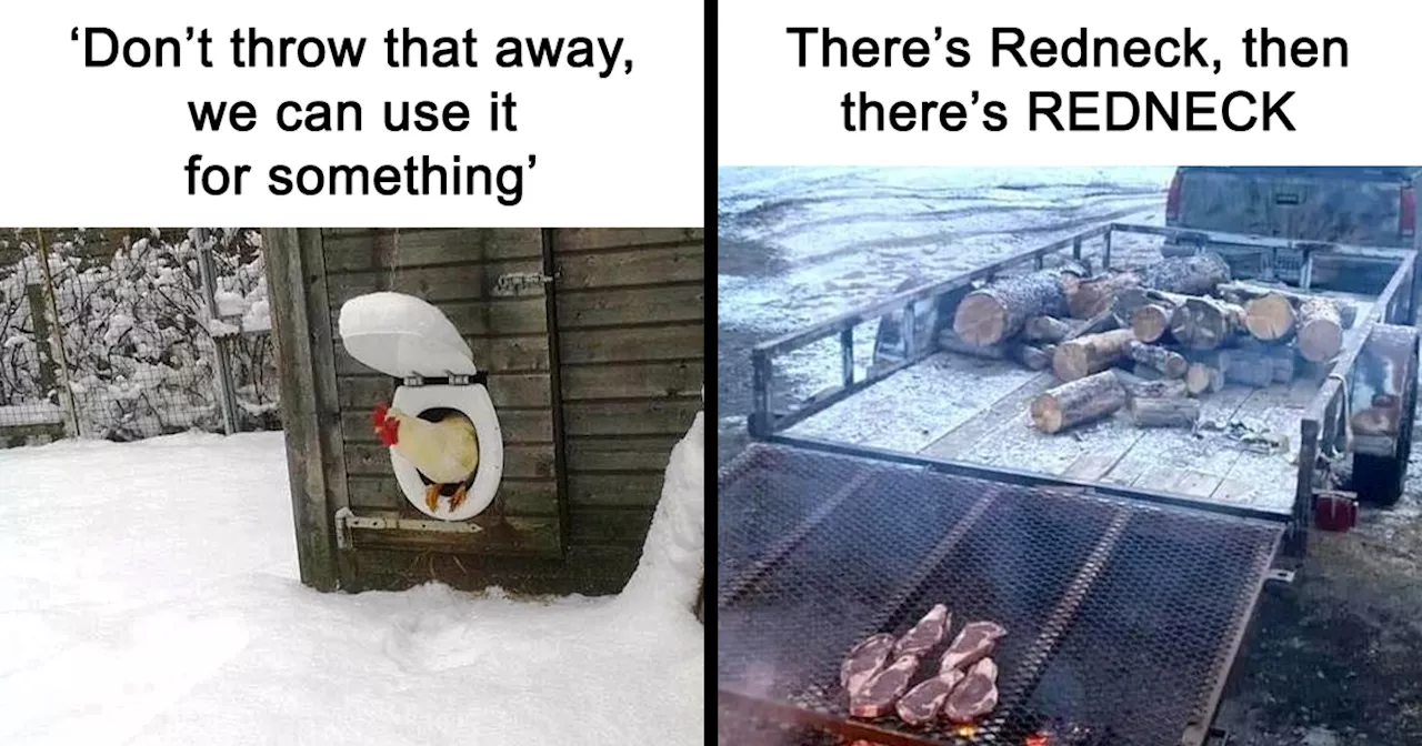 50 Funny Memes That Show Why Country Living Isn’t As Peaceful As You Think