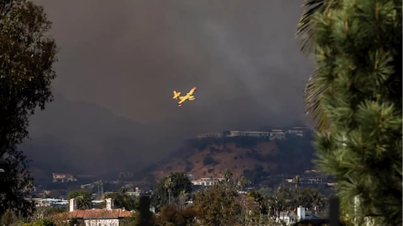 Canadian Firefighters Battle Blazes in Los Angeles