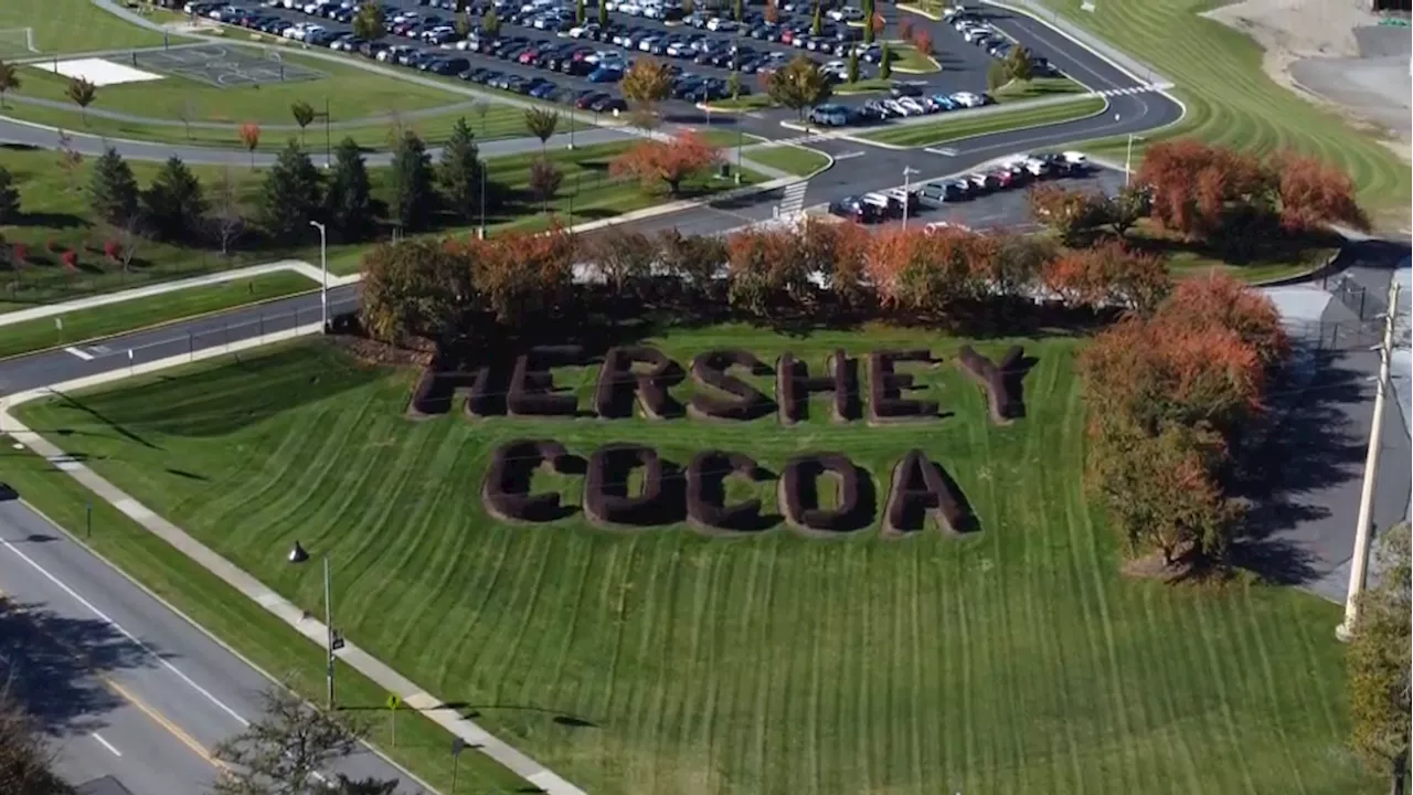 Hershey CEO Michele Buck to Retire in 2026