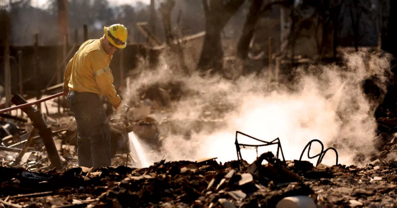 Trump Blames Newsom for California Wildfires, Claims 'No Money in FEMA'