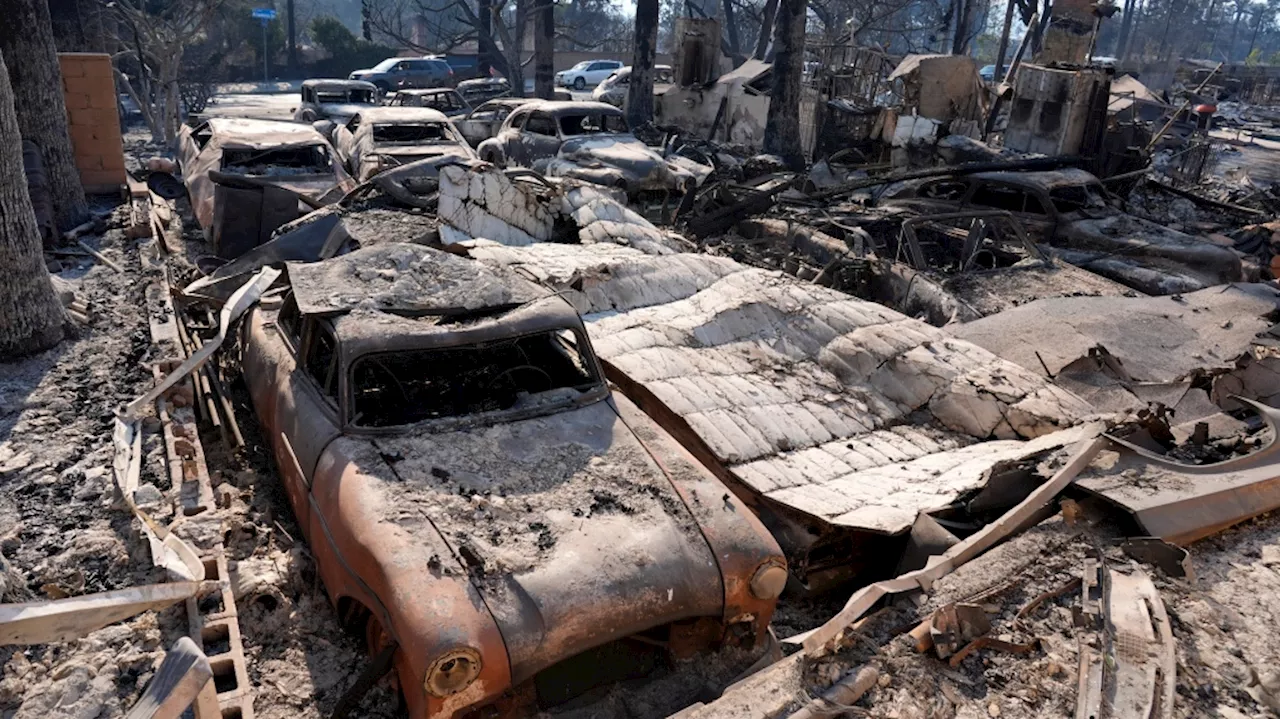 LA Fires: Could the Devastation Have Been Minimized?