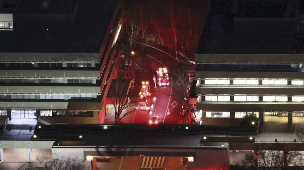 Police arrest student suspected of hammer attack at a Tokyo university