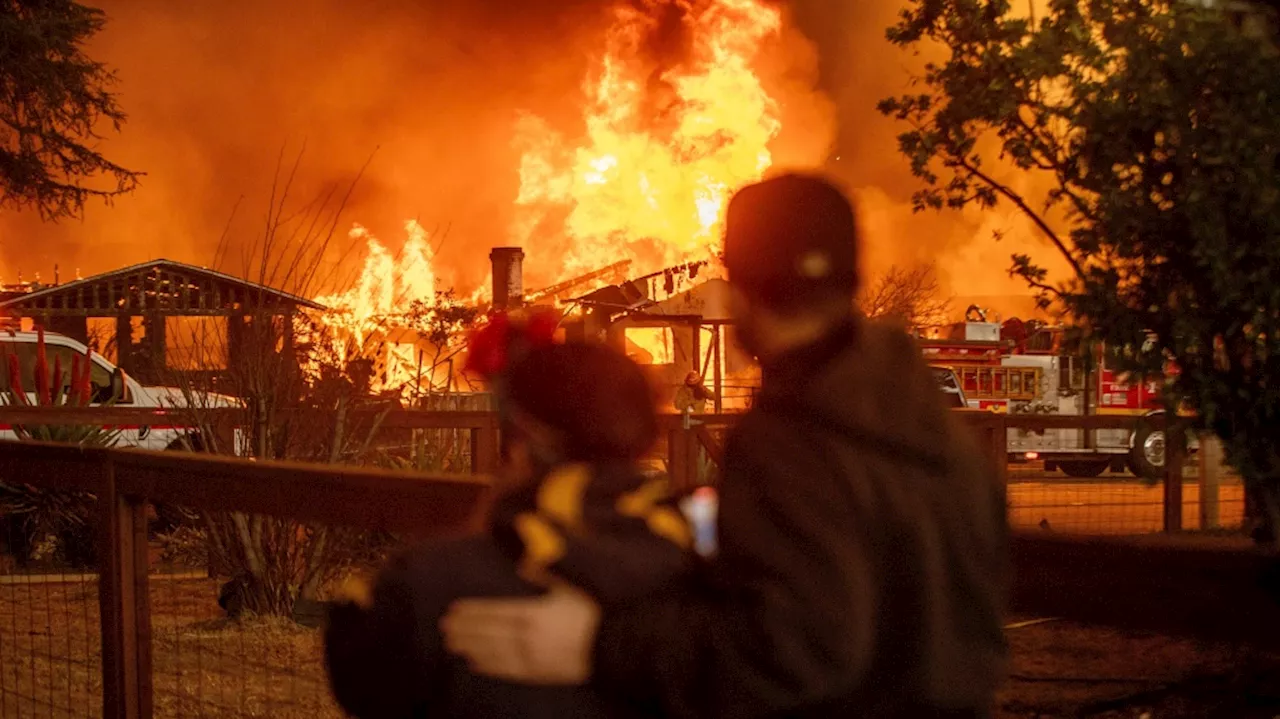 California Wildfires Claim 11 Lives