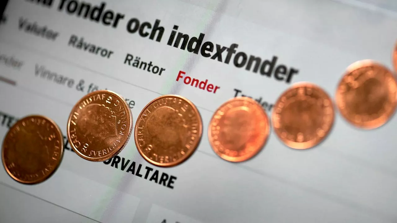 Fondförvaltaren: Komplettera med Asienfonder i portföljen