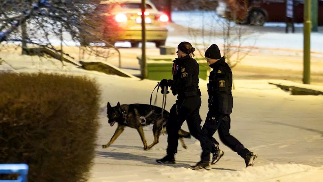 Knivdåd i Borås och Stockholm kopplas till sadistisk nätgrupp