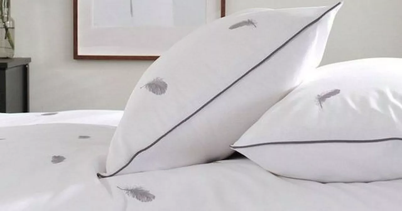 Debenhams slashes price of bedding by 71% - Customers praise 'beautiful' set