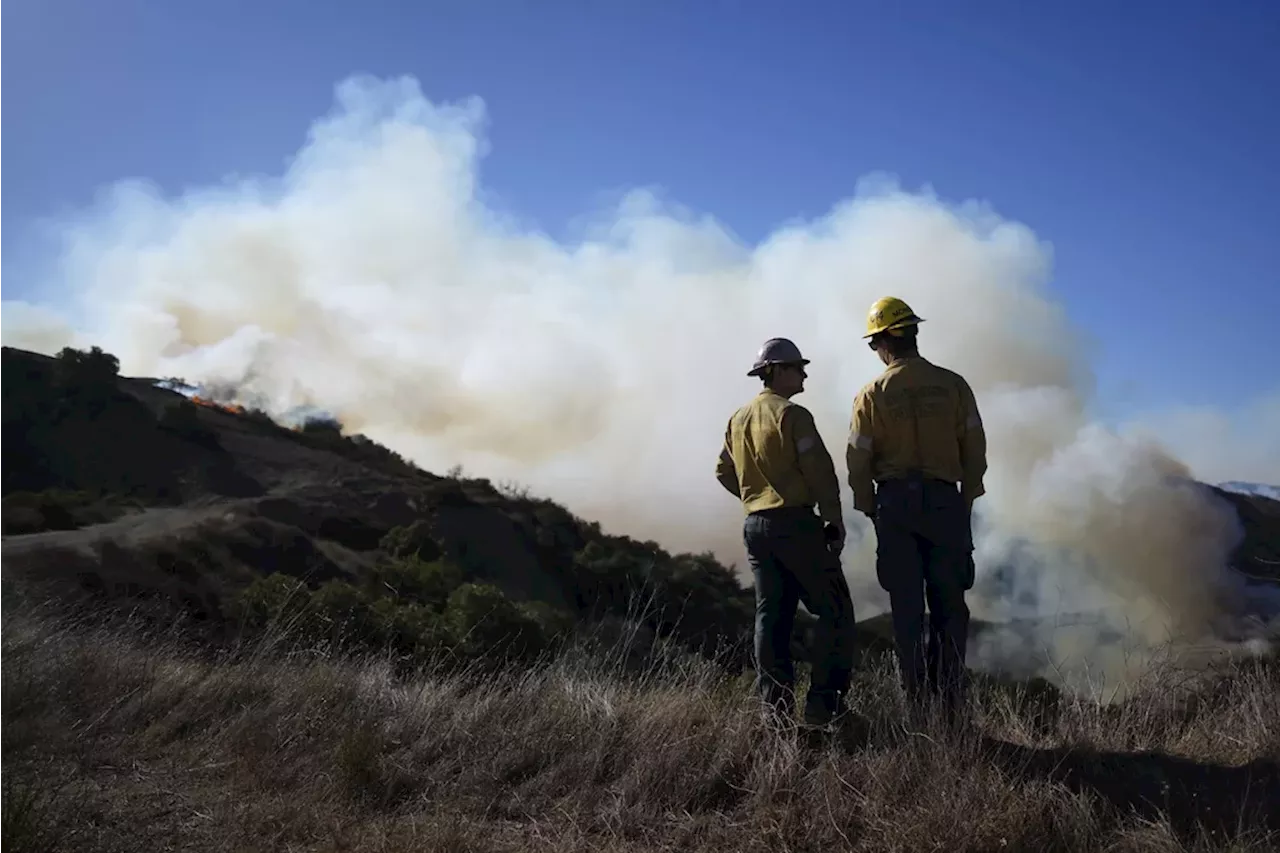 Government officials turned to ‘indigenous knowledge’ to combat Californian wildfires