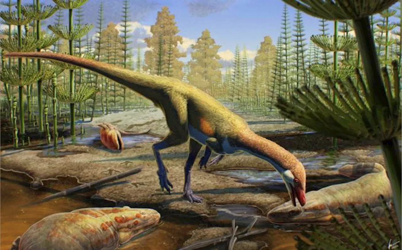 Newly Identified Dinosaur was the Size of a Chicken and May be Oldest in North America