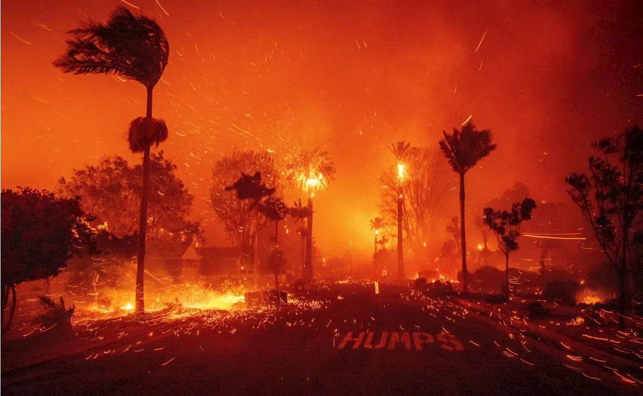 Incendios en Los Ángeles: Toque de Queda, 10 Muertos y Miles de Desplazados