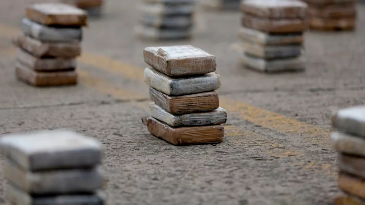 Incautan 500 kilos de cocaína en el puerto de Cartagena