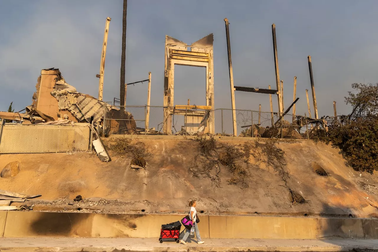 Una ciudad flotante para los 150.000 evacuados por los incendios de Los Ángeles