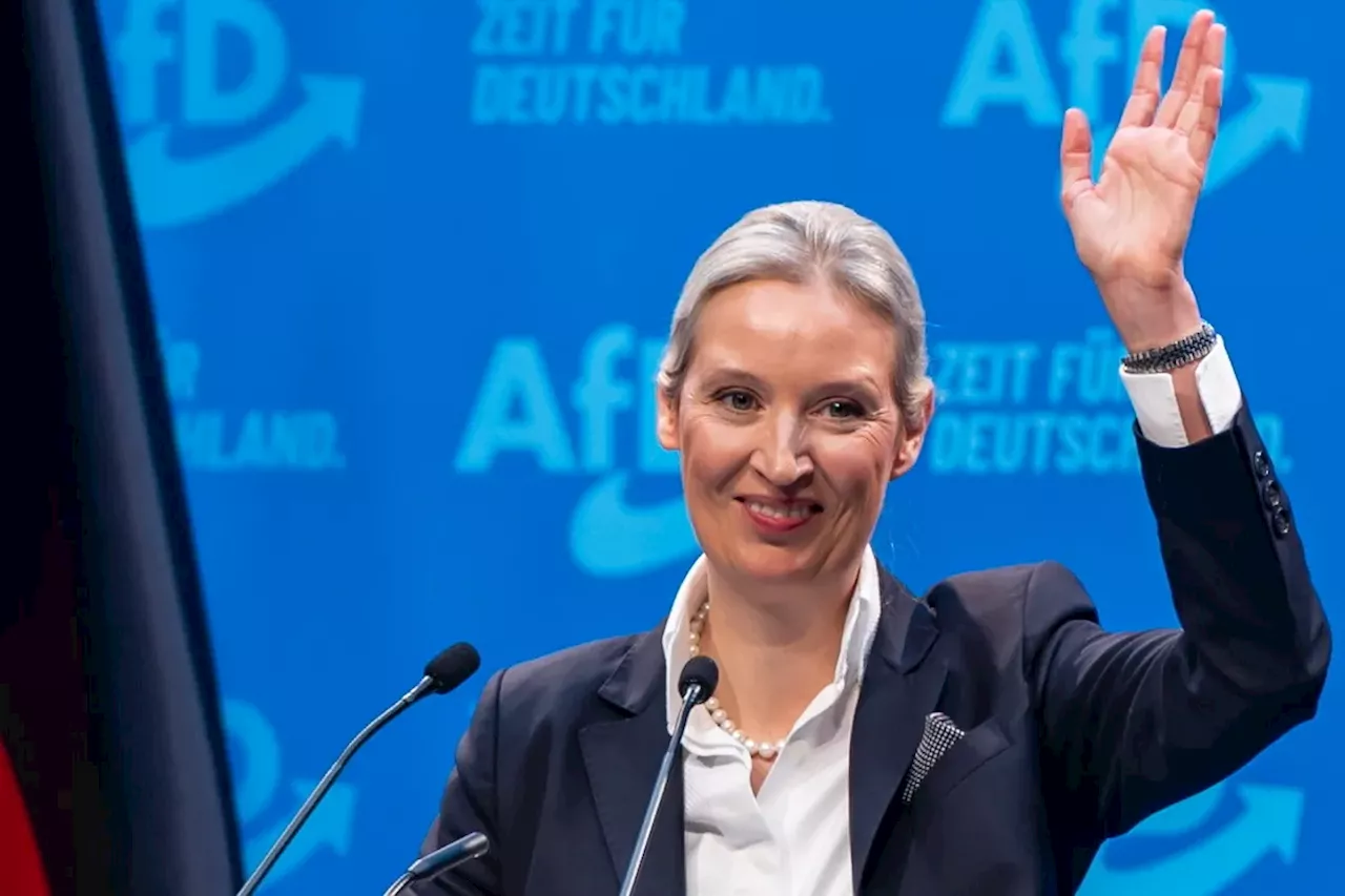 Alice Weidel, elegida como la candidata de AfD para las elecciones