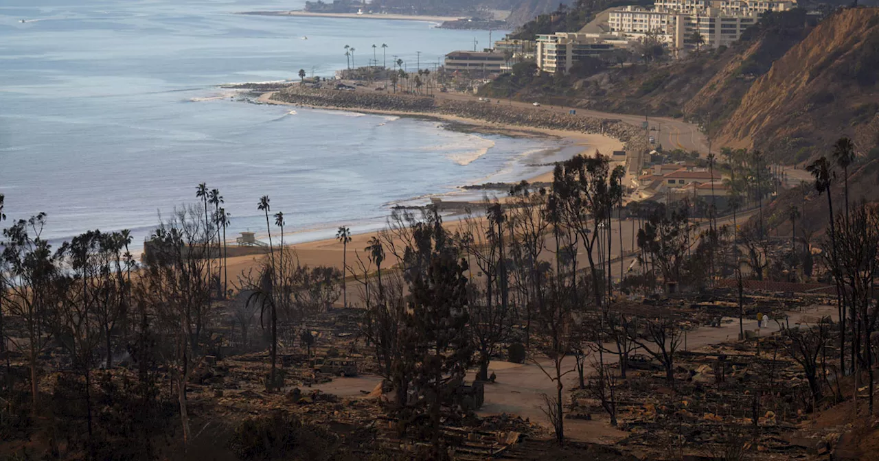 Incendi a Los Angeles, ordine di evacuazione anche per Encino e Bel Air. Rabbia contro la sindaca: monta la petizione per le dimissioni