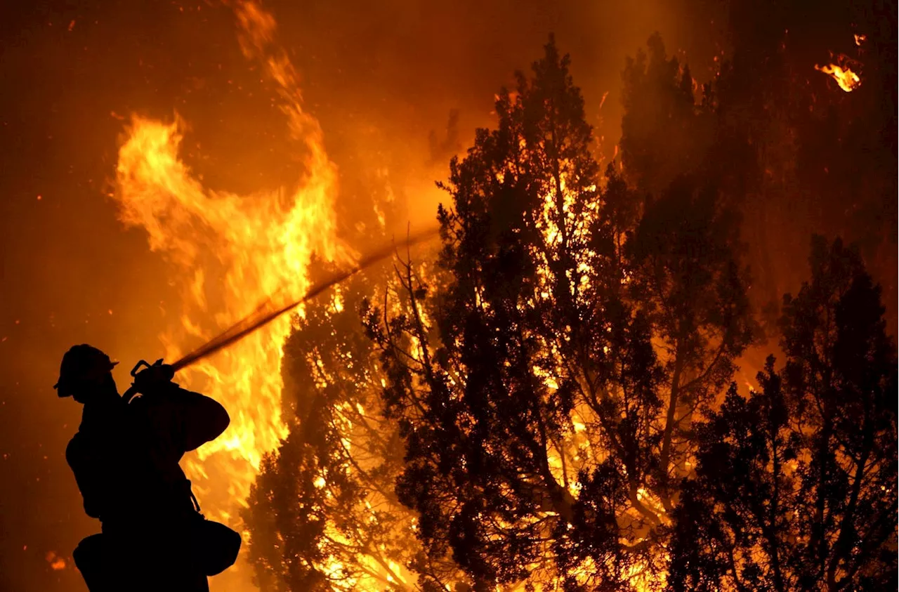 The Devastating Health Impacts of Wildfires