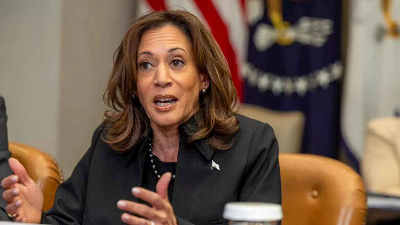 Insurance Industry Rejects Kamala Harris' Wildfire Policy Cancellation Claim