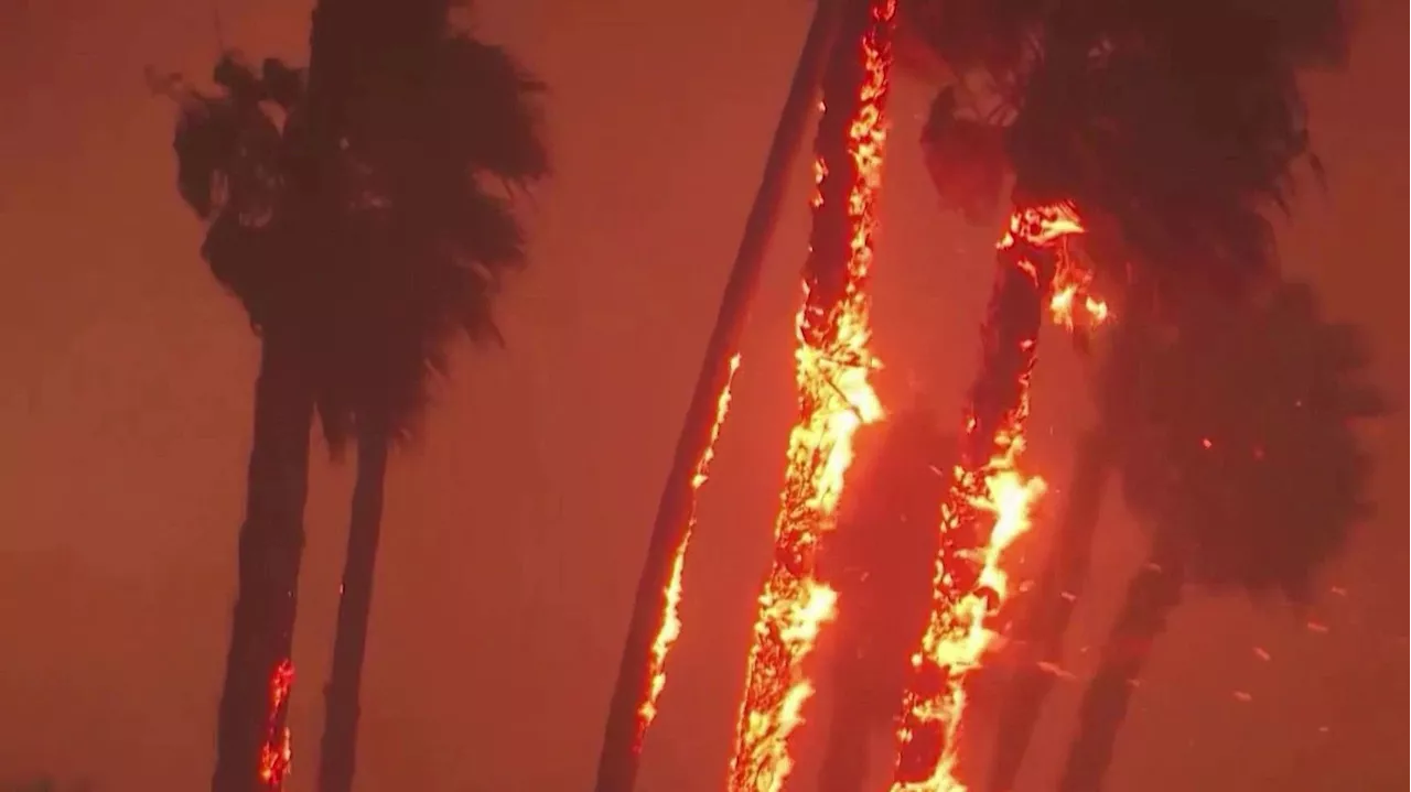 Los Angeles encerclée par des incendies hors saison