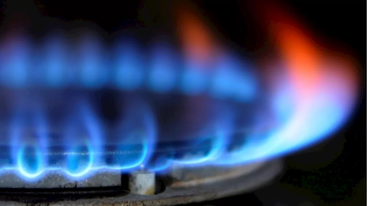 UK ‘well placed’ to obtain enough gas this winter, says biggest network operator