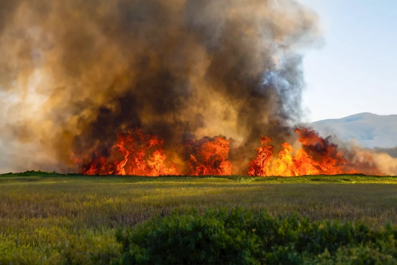 Long-Term Health Effects of Wildfire Smoke and Ash in Homes