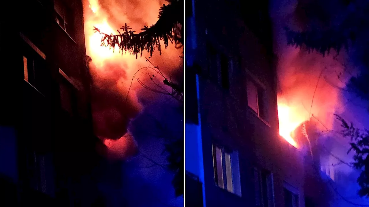 Drama in Niederösterreich - Wohnungsbrand in Mödling: Zwei Pensionisten sterben