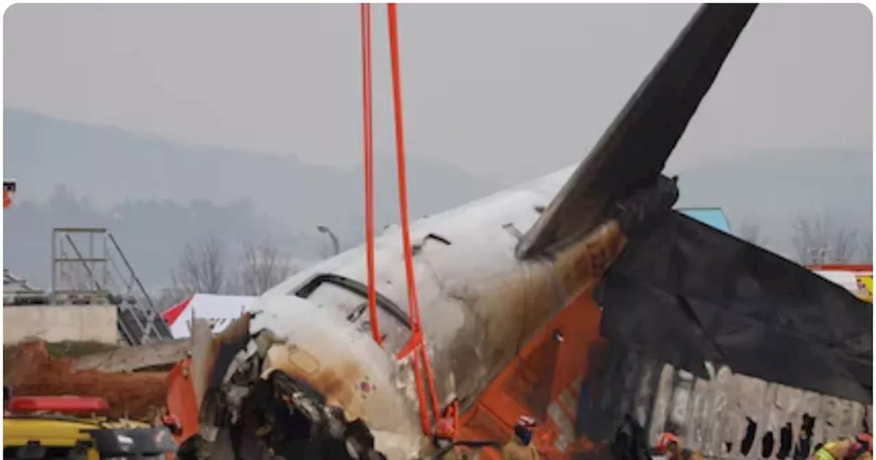 South Korea Air Crash: Black Boxes Stopped Recording Before Impact