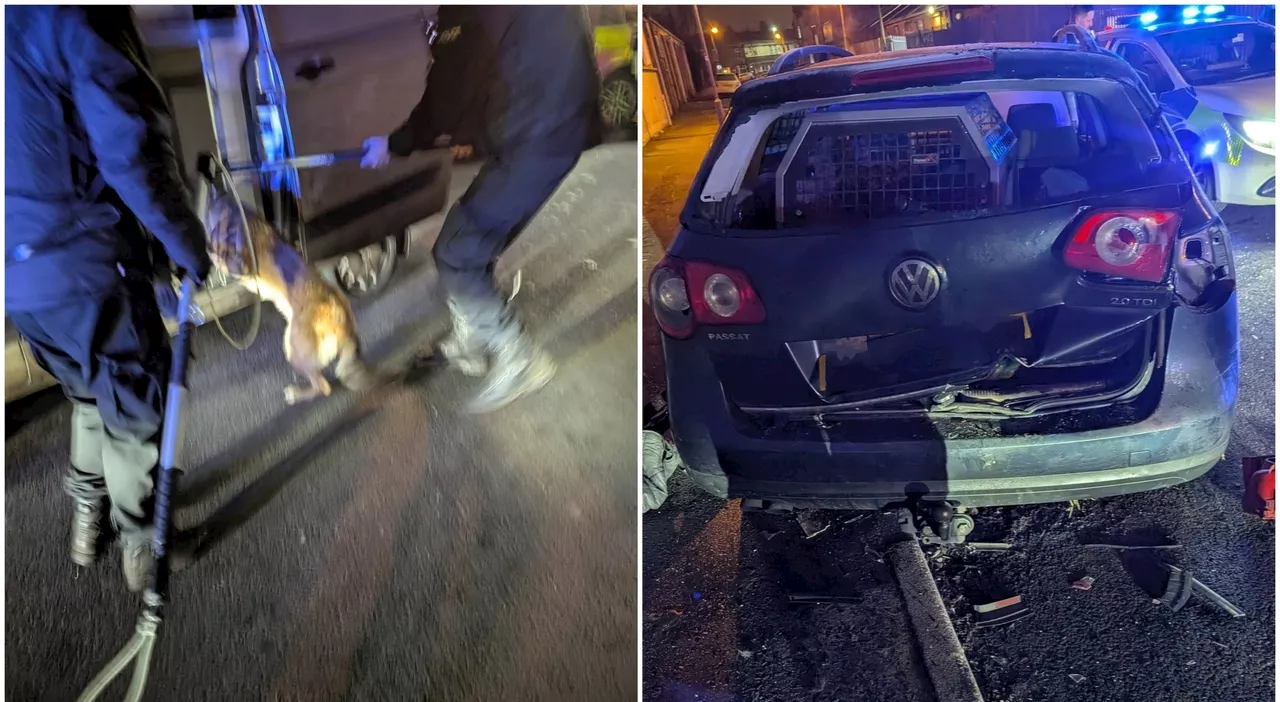 Cane trovato congelato nel bagagliaio di un'auto a Birmingham