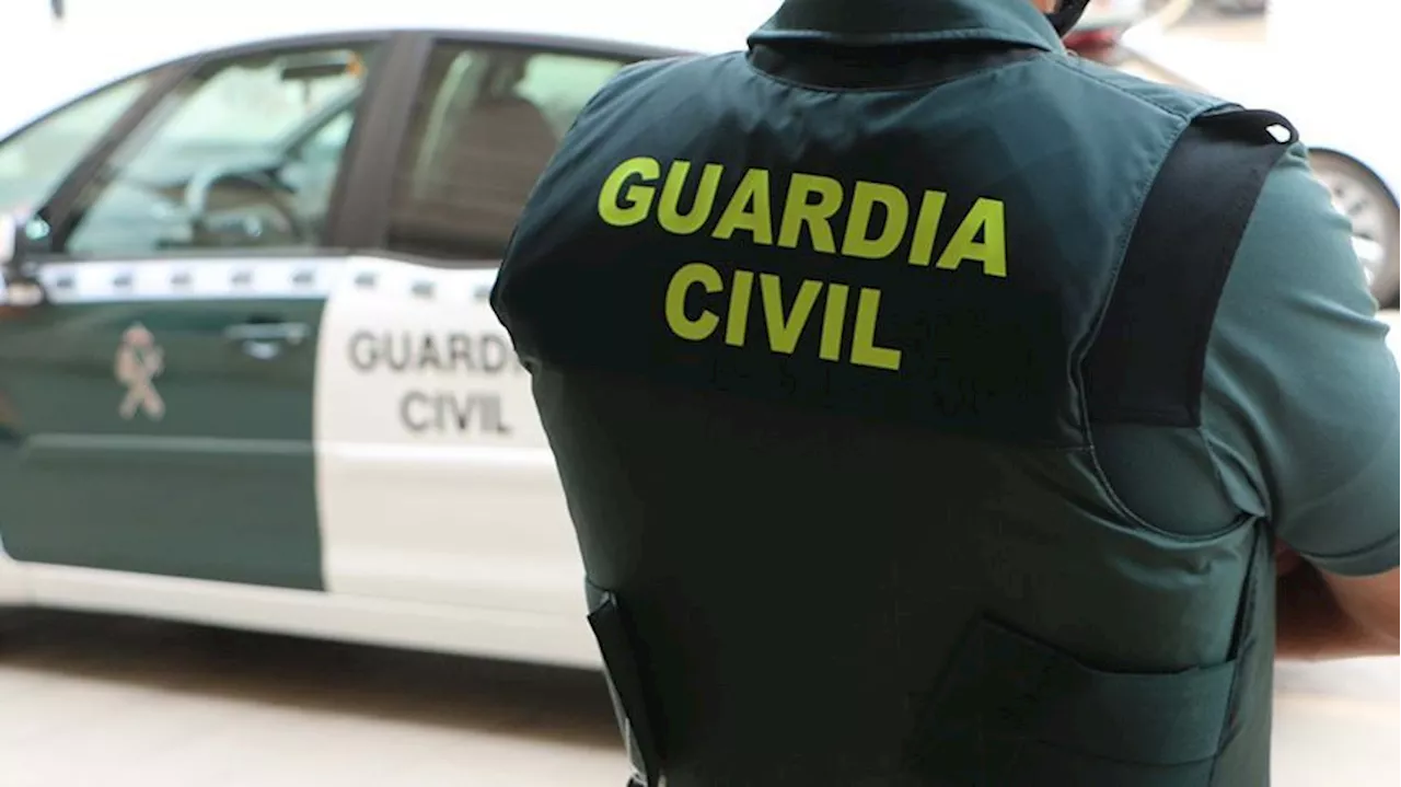 Dos detenidos acusados de 32 delitos de robo con fuerza en vehículos en Granada