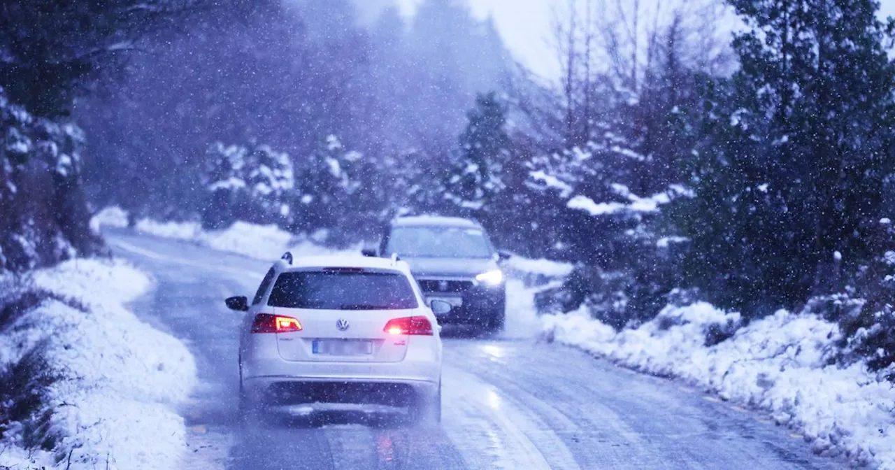 Ireland Thaw: Fog Warning Issued as Temperatures Soar to 11C