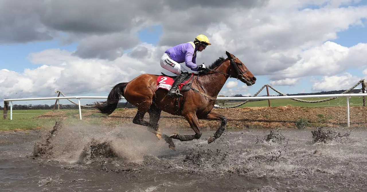 Willie Mullins-trained Cheltenham legend dies