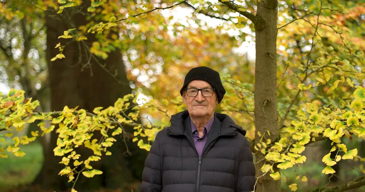 Tree Hunters and Winter Trees: Two Books Explore Humanity's Relationship with Nature