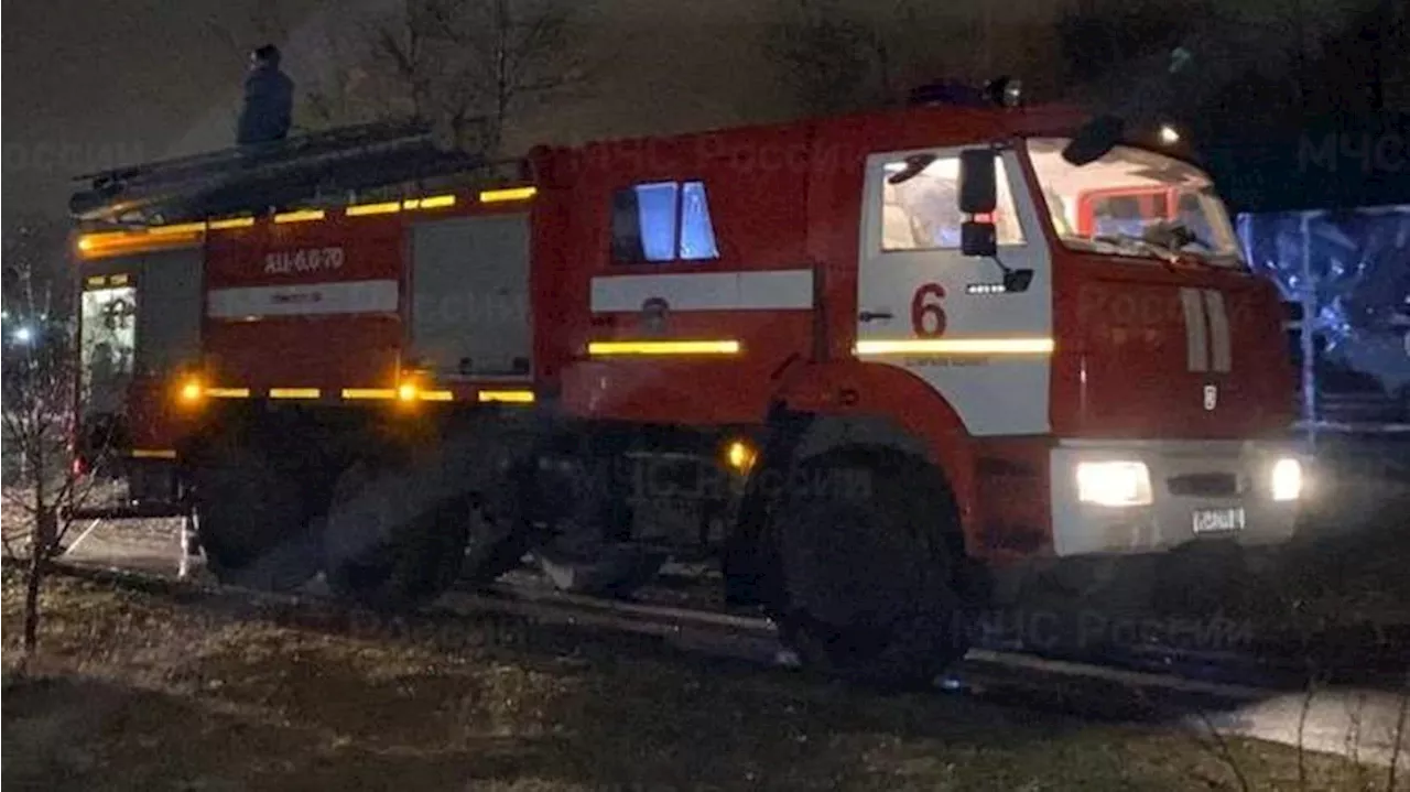 Пожар в зоопарке Белгородской области: погибли шесть зебр