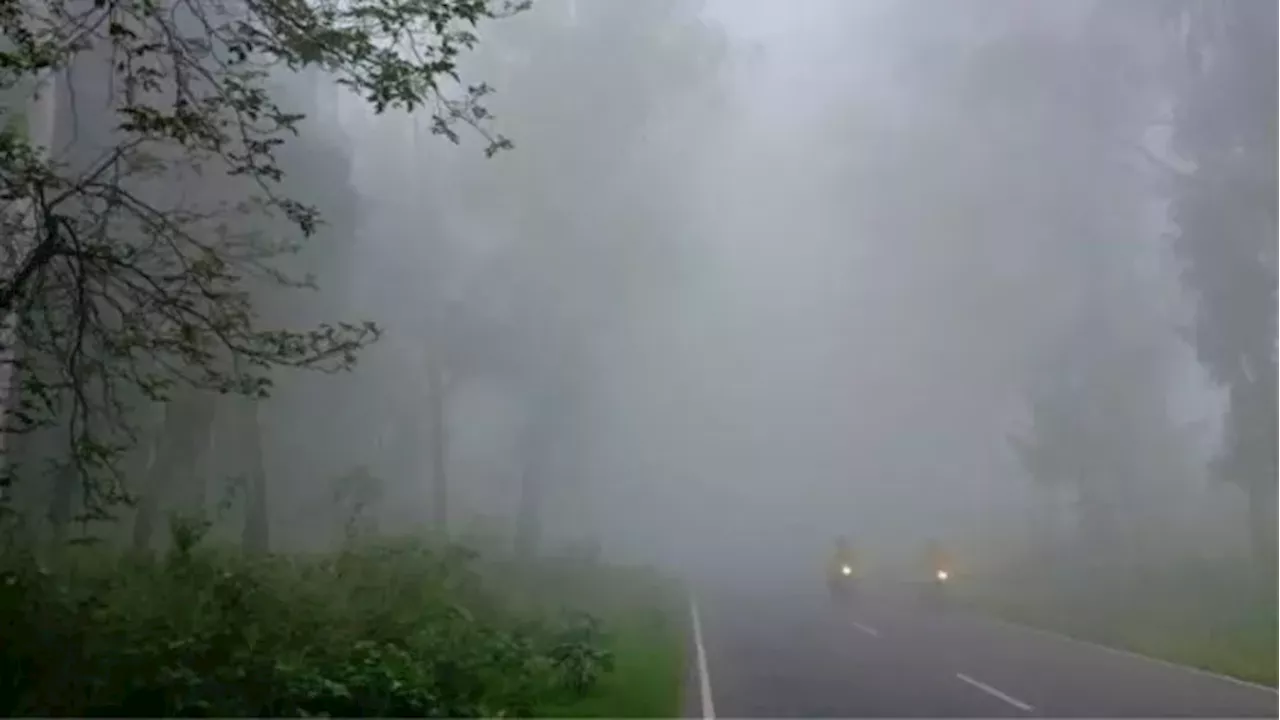 Bihar Weather Today: बिहार में जारी है मौसम की मार! घर से बाहर निकलने से पहले पढ़ें IMD का अलर्ट