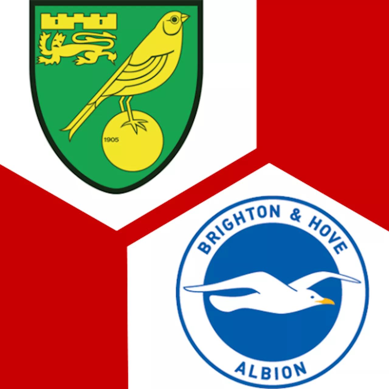 Brighton &amp; Hove Albion 0:4 | 3. Runde