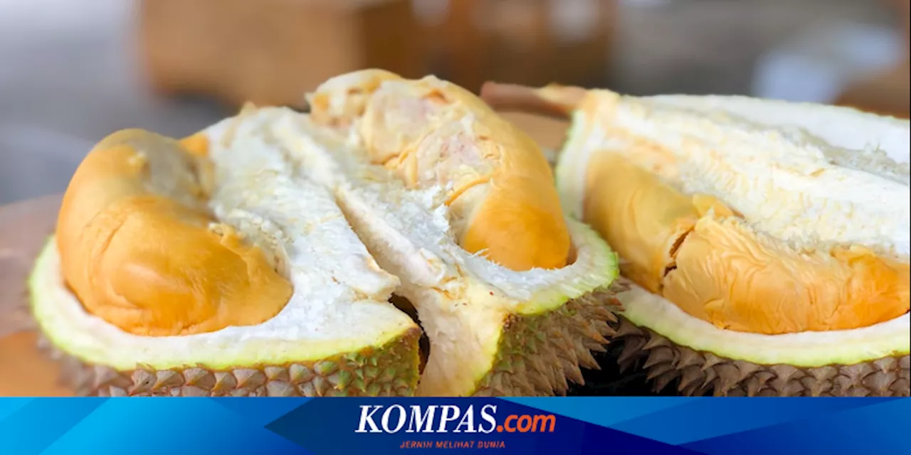 Durian dapat Menyebabkan Mabuk