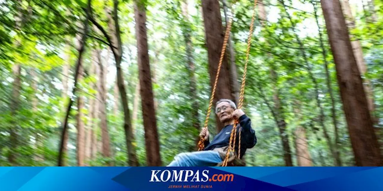 Kisah Masana Izawa, 'Poop Master' Jepang yang BAB di Hutan untuk Suburkan Alam