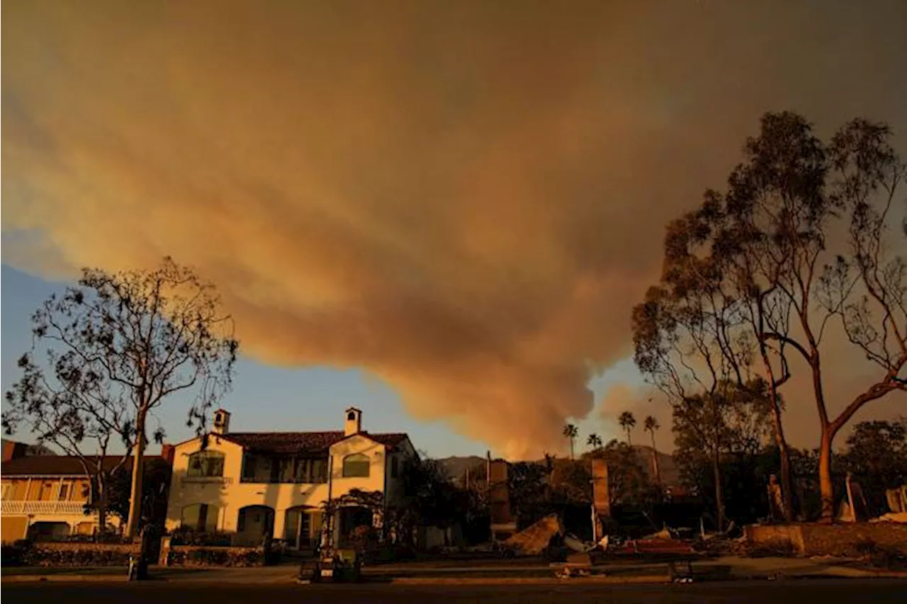 LA Fires Aftermath: Residents Grapple with Devastation and Loss