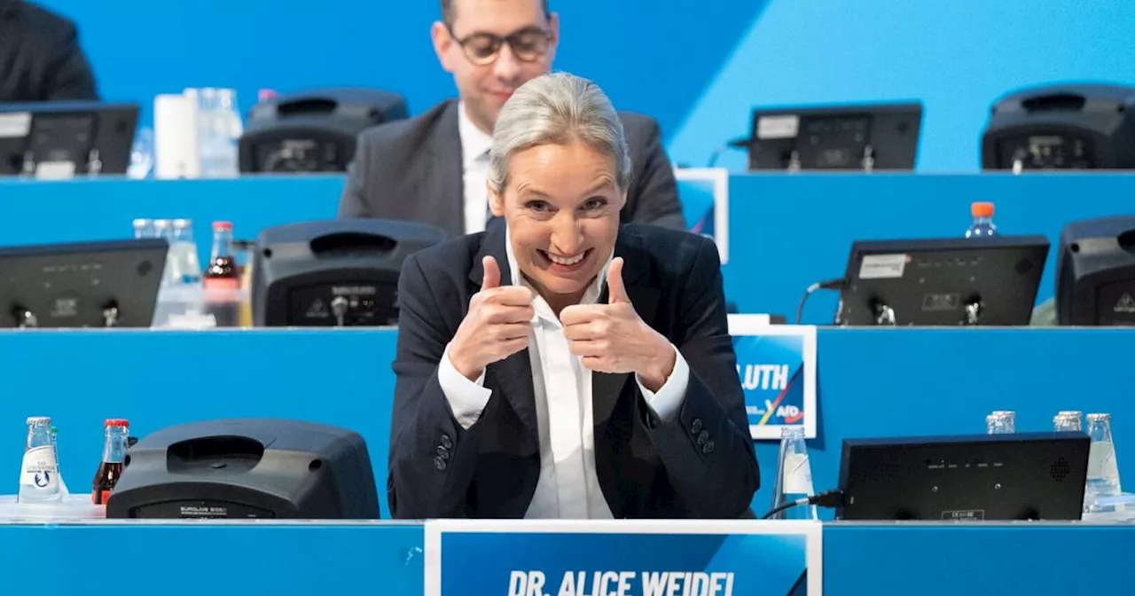 AfD-Parteitag in Riesa mit Protesten