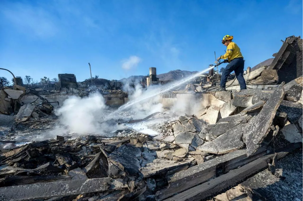 Could Volunteer Firefighters Be the Solution to LA's Wildfire Crisis?