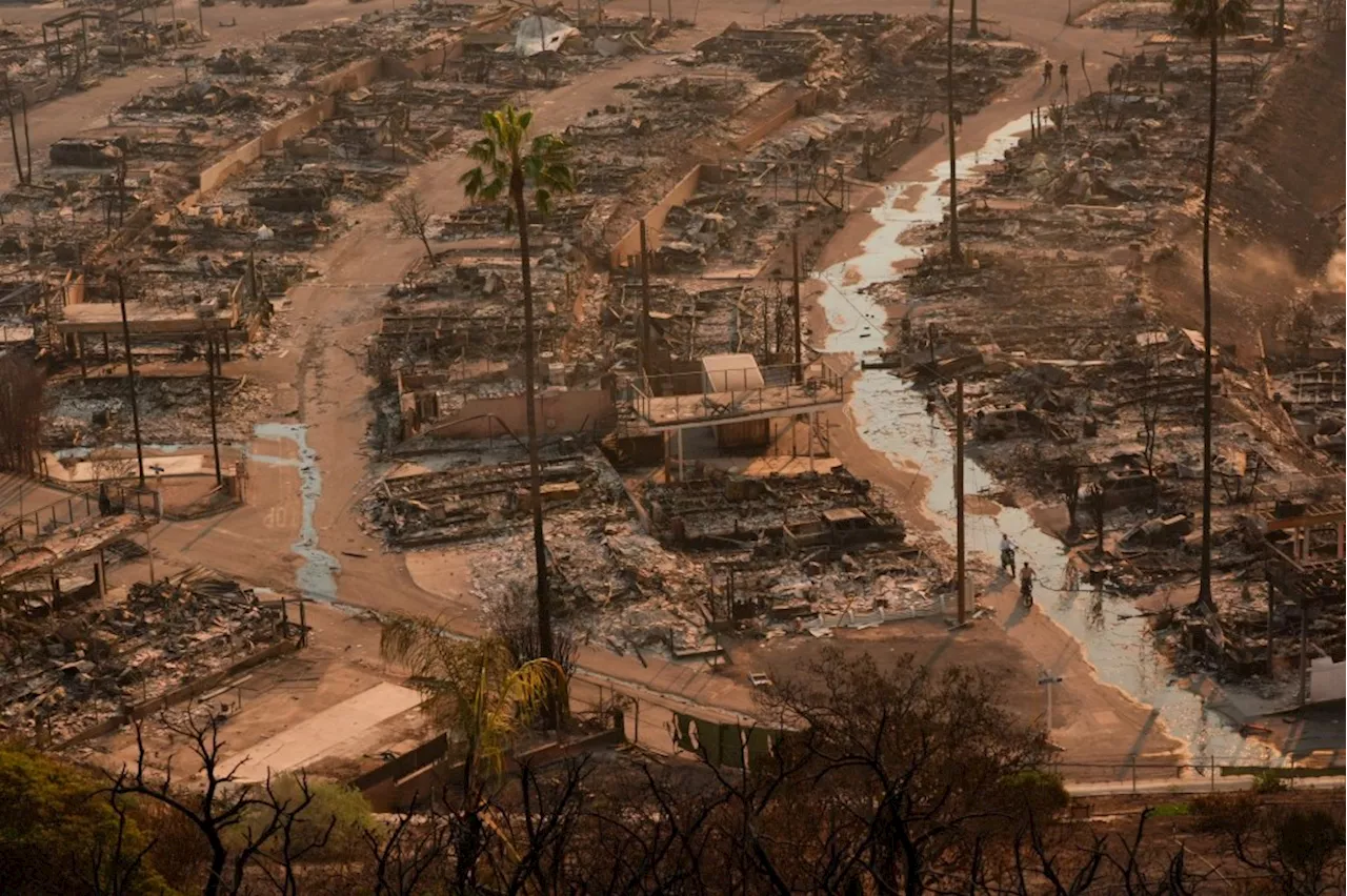 LA Wildfires to Cause $100 Billion in Damages, Experts Say