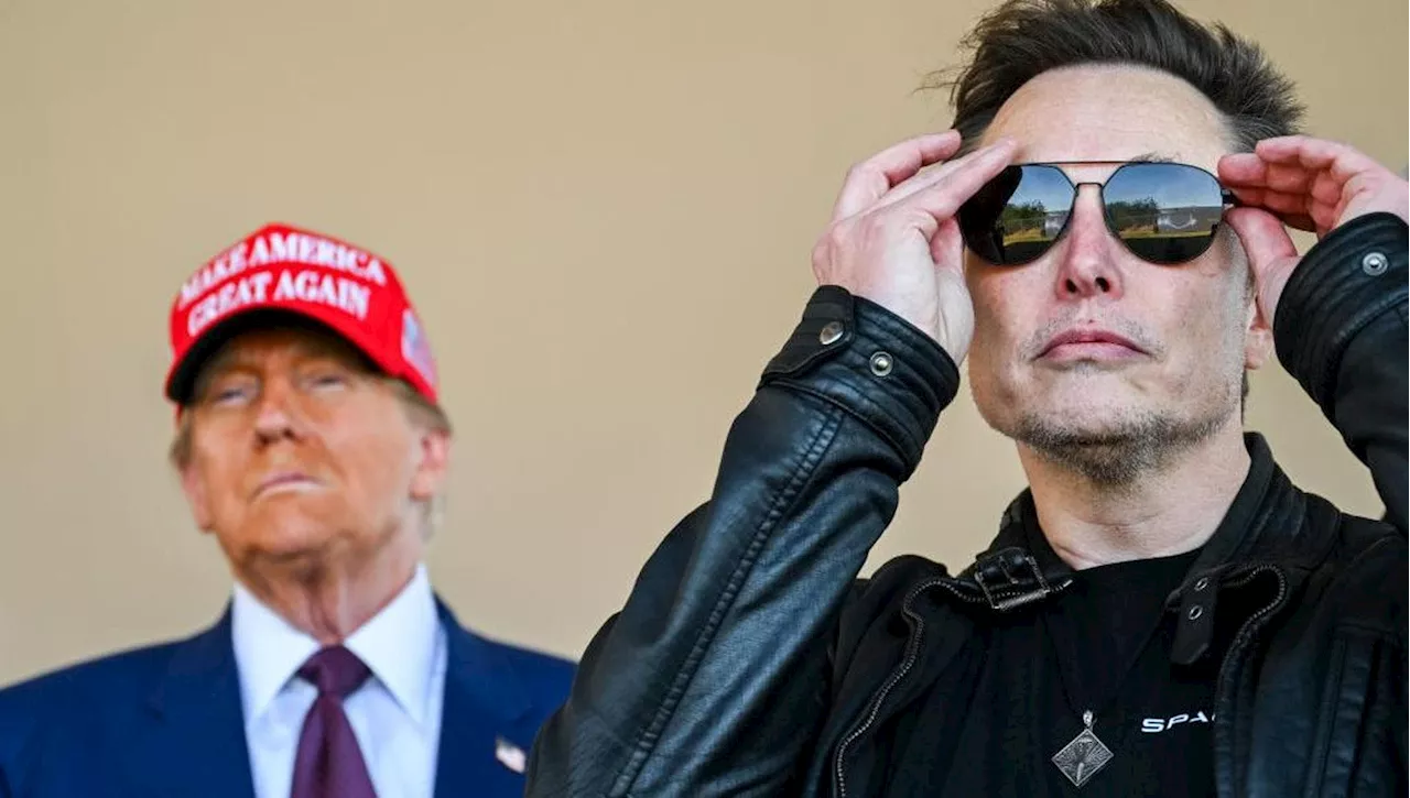 L'Apocalisse di Internet: Falso o Vero, la Verità Alternative di Trump e Musk