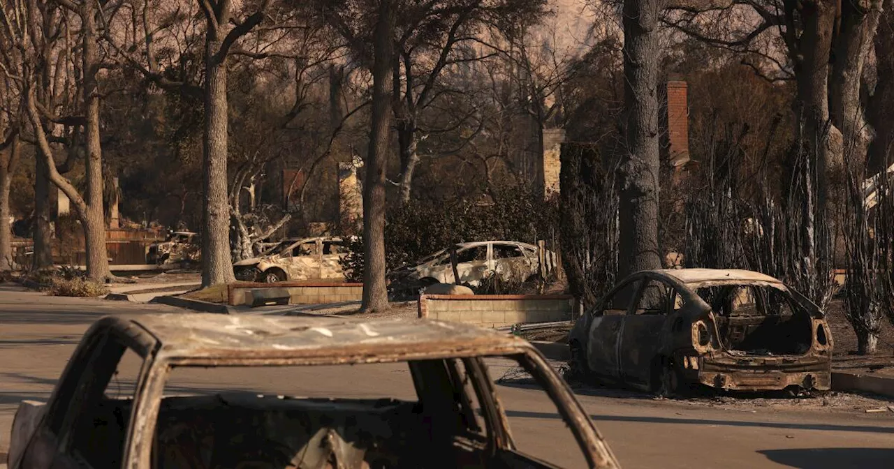 Eaton Fire Devastates Altadena, Leaving Residents to Rebuild and Reimagine Their Town