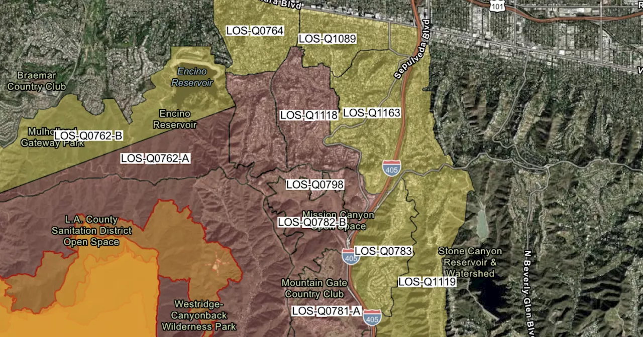 Palisades Fire Threatens Los Angeles Neighborhoods, Amidst Water Problems and Concerns over Disaster Response