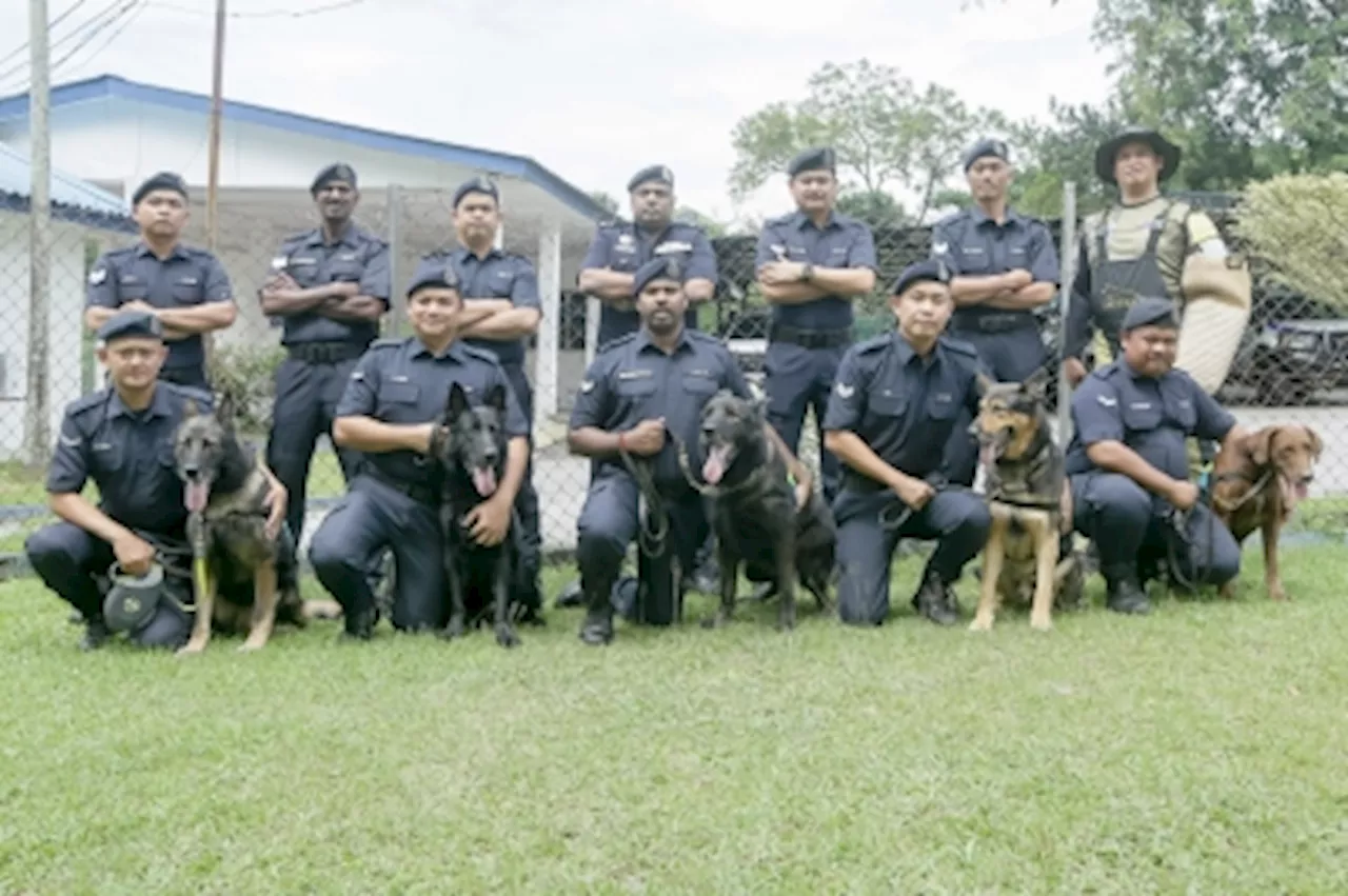 Inside Malaysia’s K9 Unit: How elite police dogs are trained to fight crime