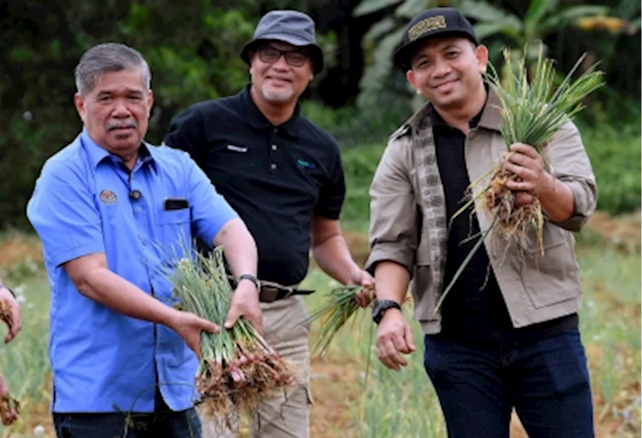 Mat Sabu: Malaysia can save around RM300m by cultivating onions ourselves