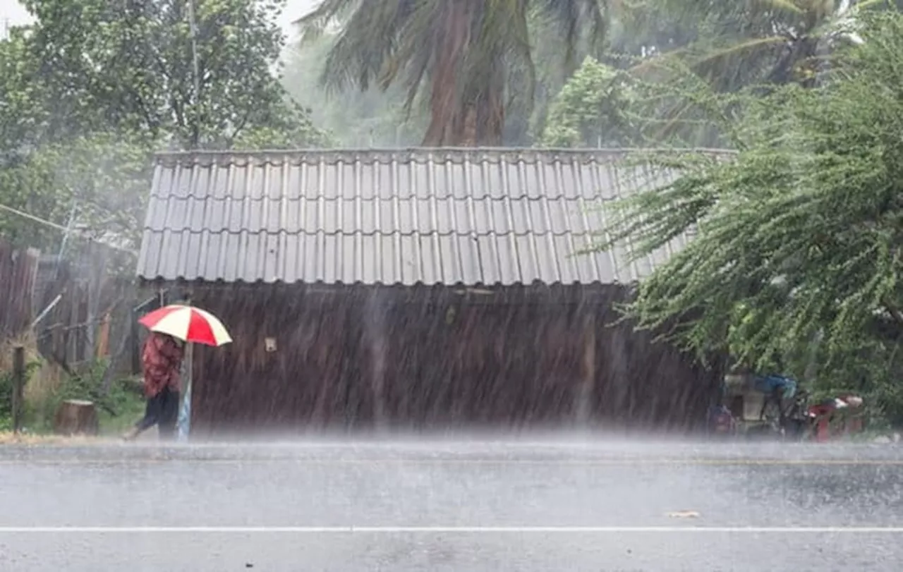 Prakiraan Cuaca Minggu, 12 Januari 2025 14 Wilayah Indonesia Diguyur Hujan