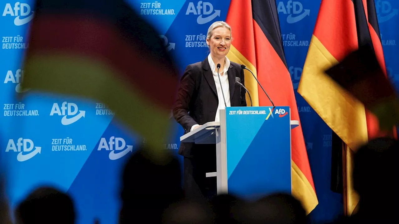 Alice Weidel Eletta Candidata Cancelliere da AfD