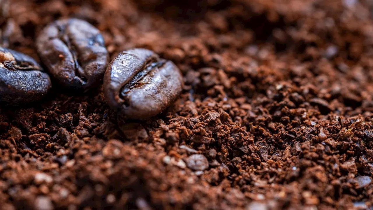 Koffein: Versteckte Mengen in Lebensmitteln machen Verzicht schwer