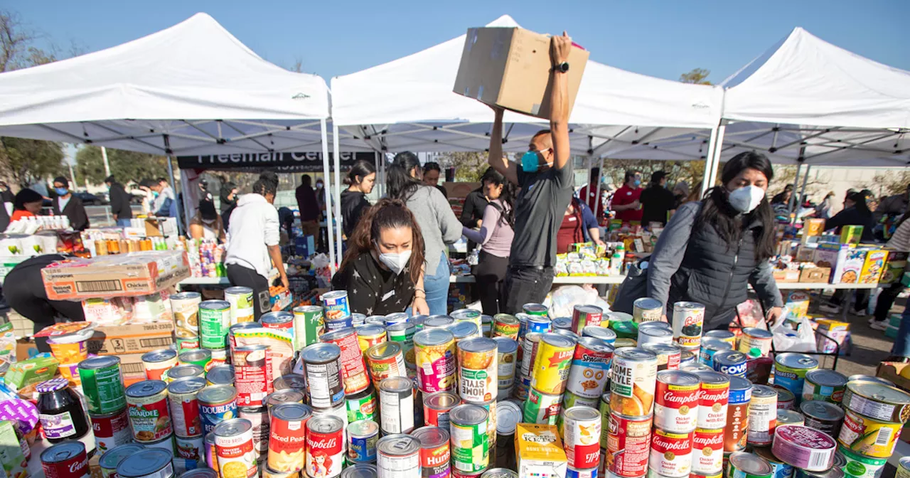 Los Angeles Wildfires: Long-Term Recovery and How to Help