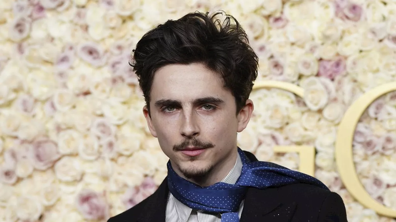 Timothée Chalamet to Host SNL, Dave Chappelle Set to Return