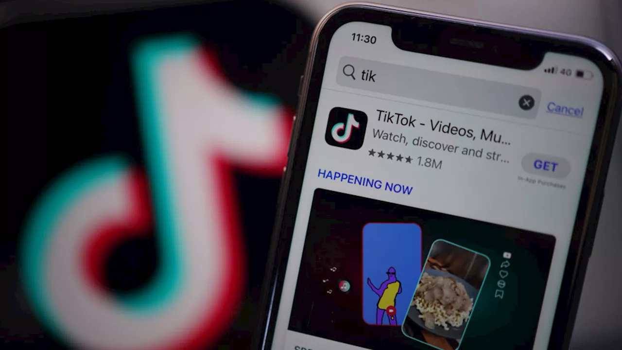 US TikTok ban to pass unless app is sold