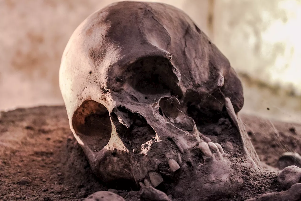 Ancient Skulls Heap Reveals Unusual Ritual Practices in Neolithic Italy